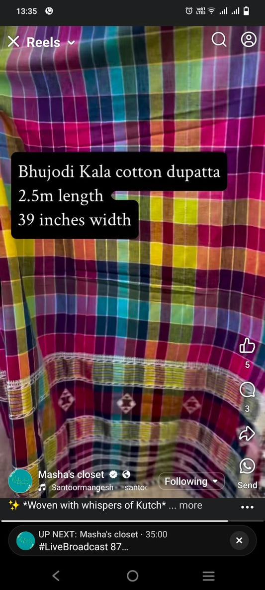Rainbow Kala cotton dupatta